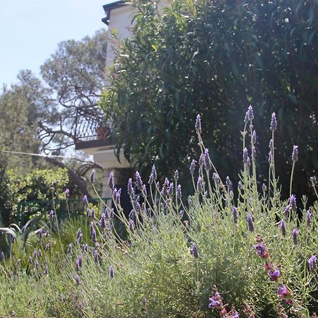 Cappelli Apartments - Losinj Мали-Лошинь Экстерьер фото